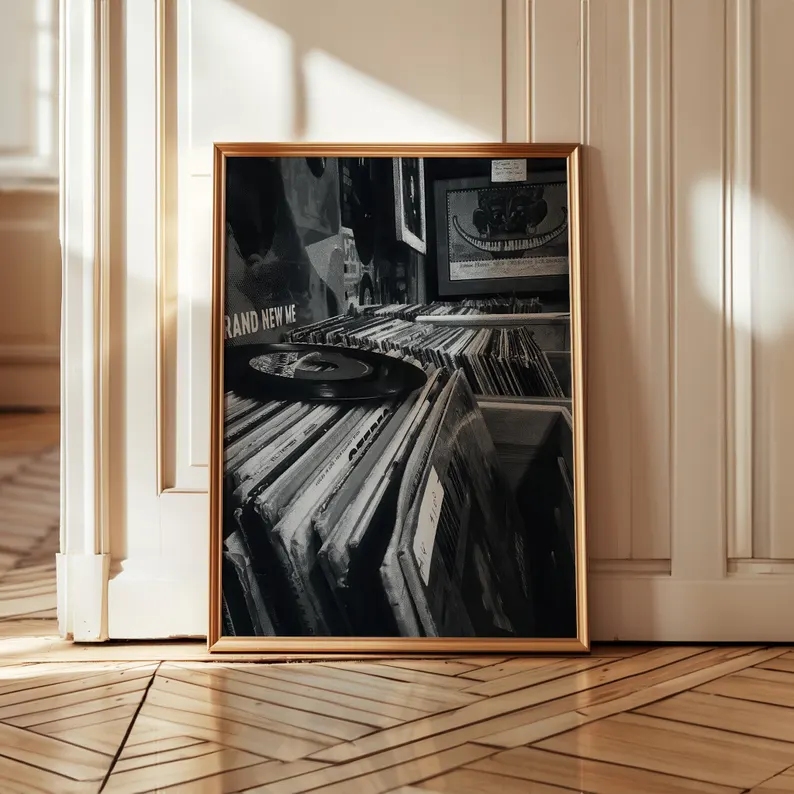 Modern Vinyl Record Store Blac - Home Decor White 评论和价格