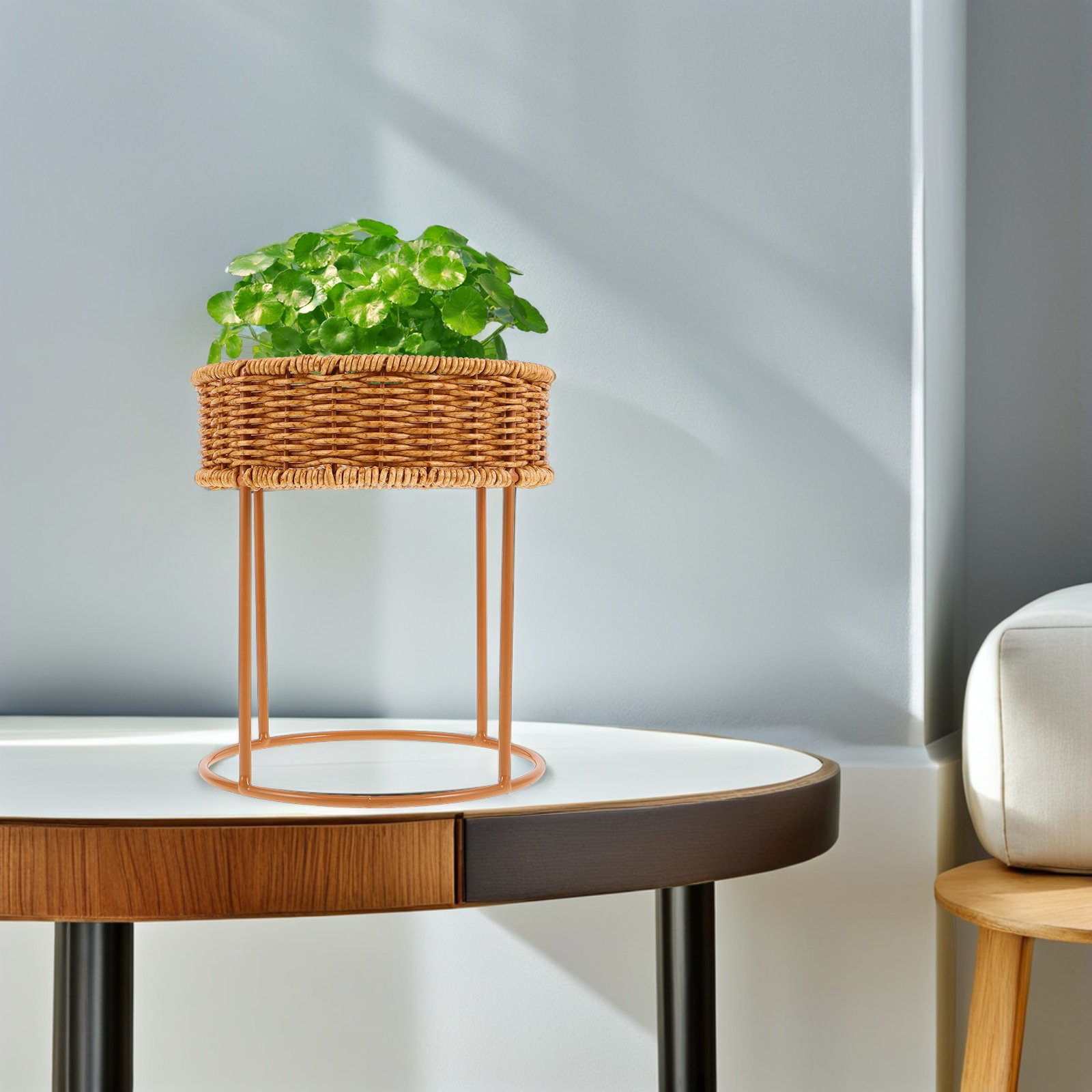 Natural Rattan Mini Plant Stan - Home Decor Rattan 评论和价格