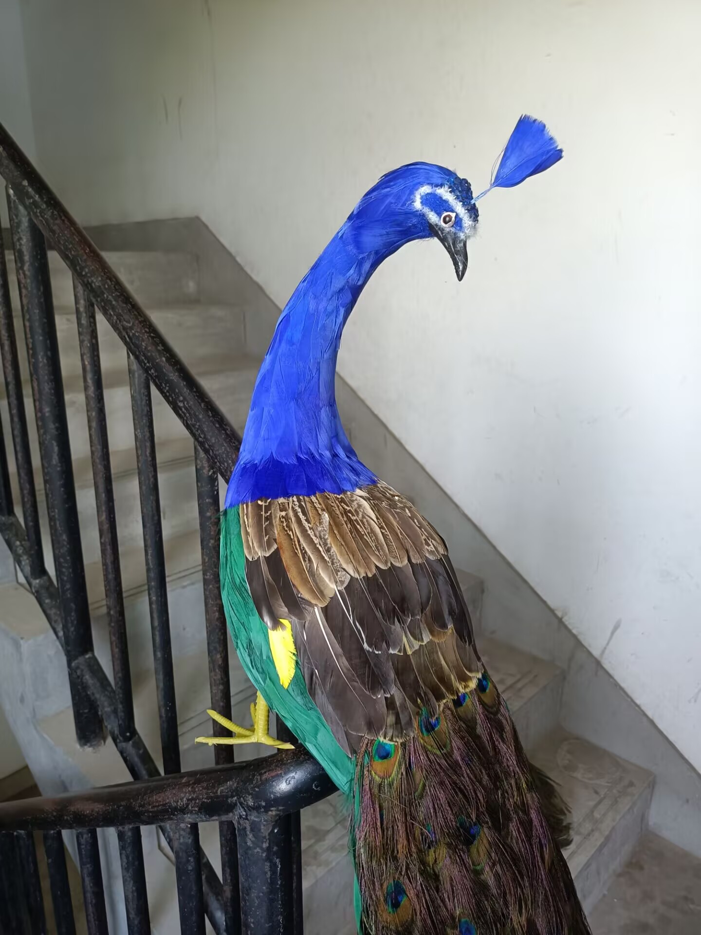 105cm Realistic Peacock Model  - Home Decor Design Ideas 评论和价格