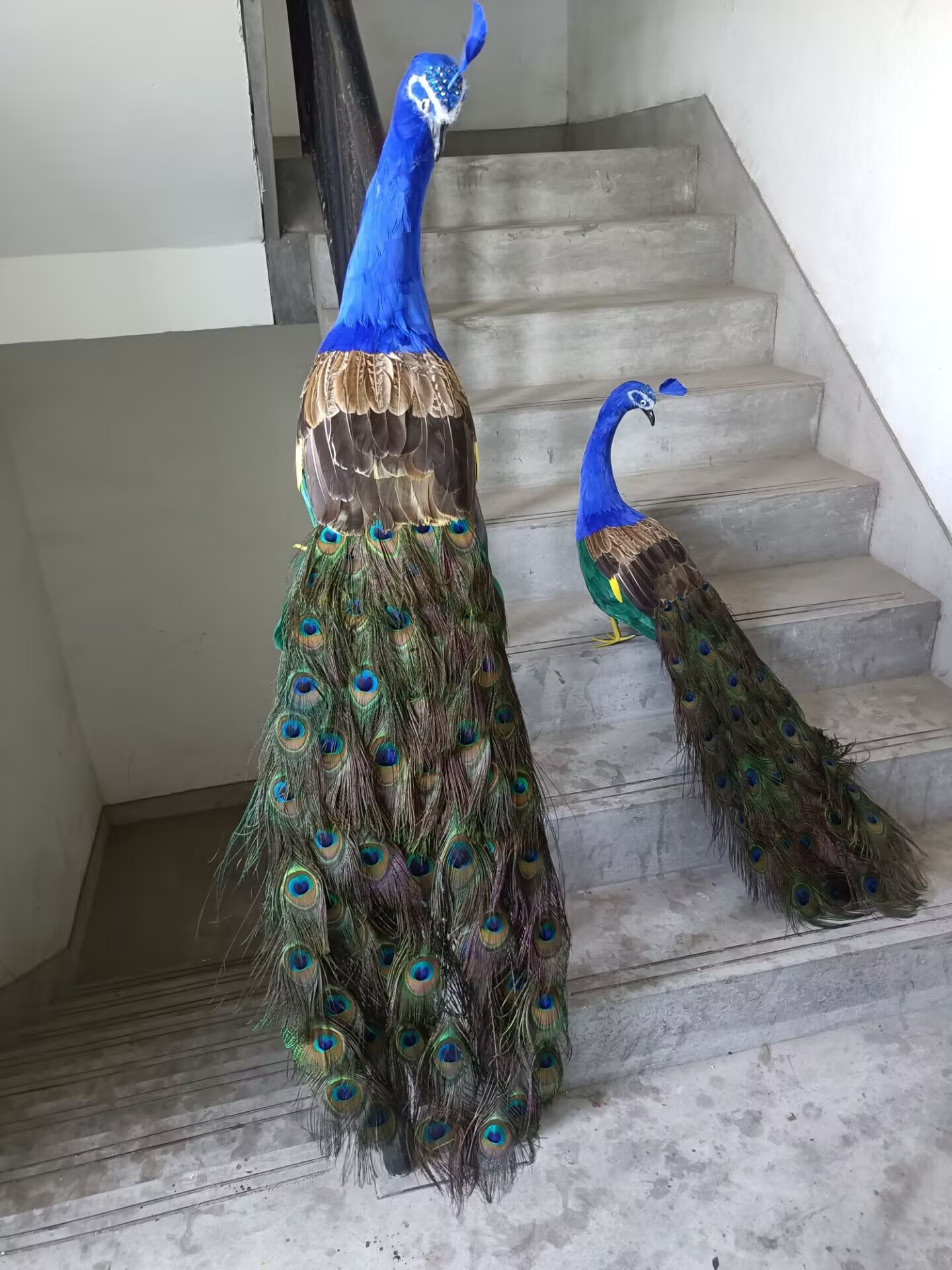 105cm Realistic Peacock Model  - Home Decor Design Ideas 评论和价格